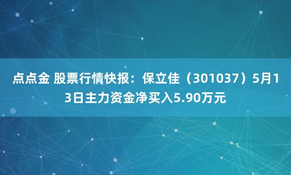 点点金 股票行情快报：保立佳（301037）5月13日主力资金净买入5.90万元