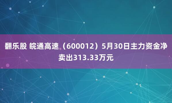 翻乐股 皖通高速（600012）5月30日主力资金净卖出313.33万元