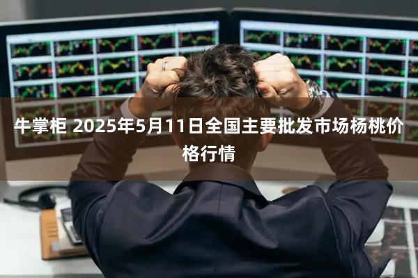 牛掌柜 2025年5月11日全国主要批发市场杨桃价格行情