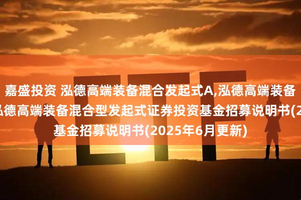 嘉盛投资 泓德高端装备混合发起式A,泓德高端装备混合发起式C: 泓德高端装备混合型发起式证券投资基金招募说明书(2025年6月更新)