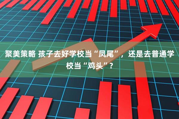 聚美策略 孩子去好学校当“凤尾”，还是去普通学校当“鸡头”?