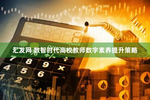 汇发网 数智时代高校教师数字素养提升策略